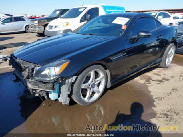 MERCEDES-BENZ SLK 300, WDDPK3JA3GF116887