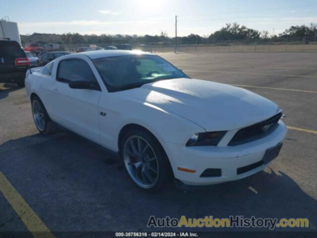 FORD MUSTANG, 1ZVBP8AM3B5139966