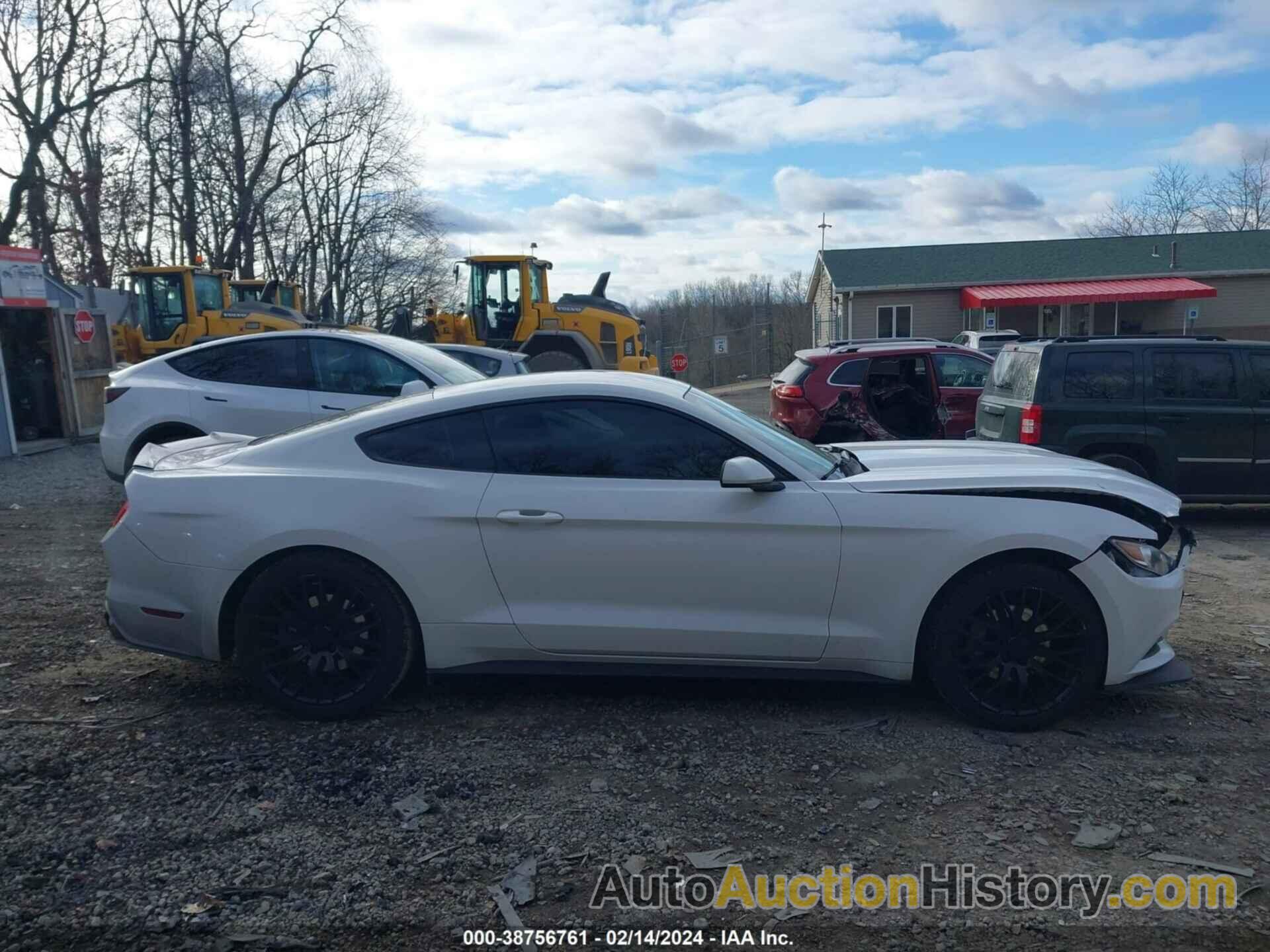 FORD MUSTANG, 1FA6P8AMXG5230797