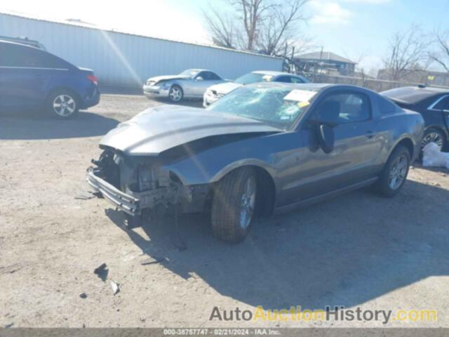 FORD MUSTANG, 1ZVBP8AMXE5298164