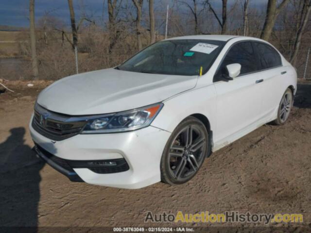 HONDA ACCORD SEDAN SPORT, 1HGCR2F59GA146212