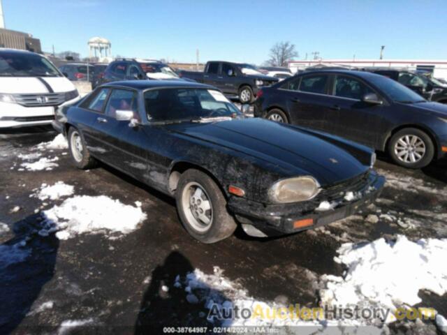 JAGUAR XJS, SAJNV5844FC124647