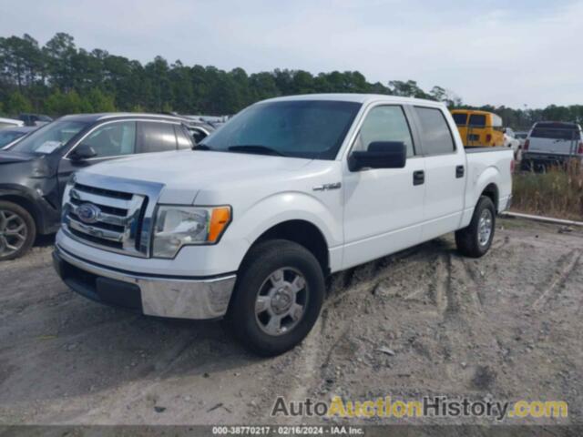 FORD F150 SUPERCREW, 1FTEW1C85AFB27238