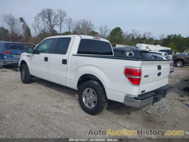 FORD F150 SUPERCREW, 1FTEW1C85AFB27238