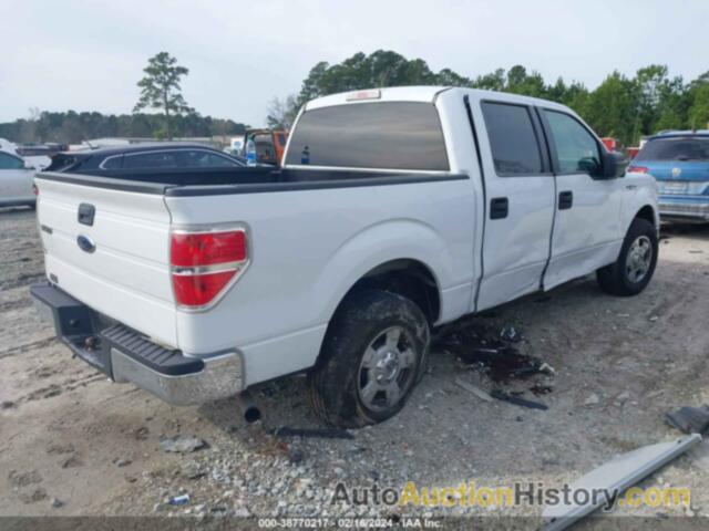 FORD F150 SUPERCREW, 1FTEW1C85AFB27238