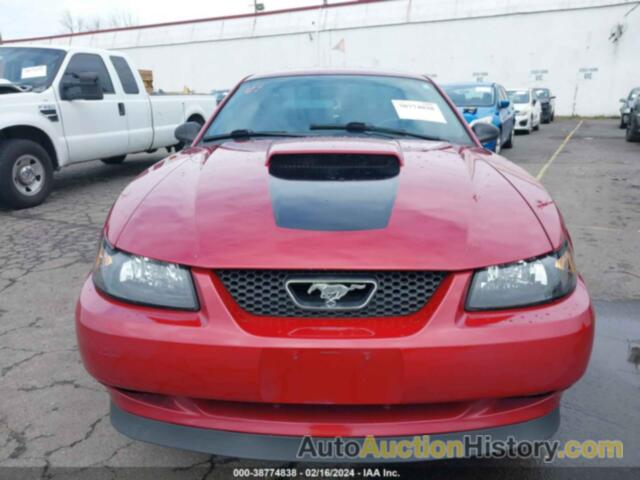 FORD MUSTANG GT, 1FAFP42X33F351452