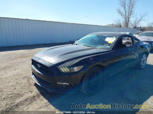 FORD MUSTANG ECOBOOST, 1FA6P8TH2F5375301