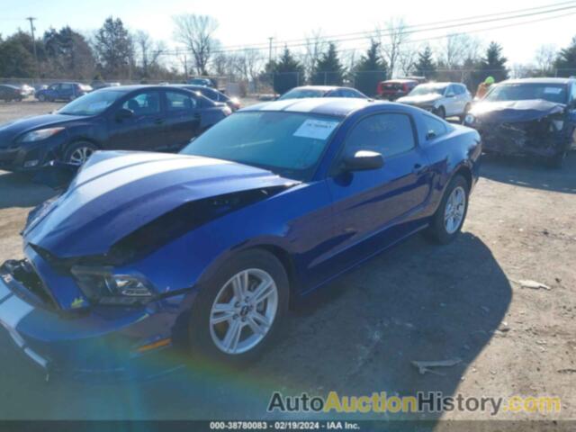 FORD MUSTANG, 1ZVBP8AM9E5295854