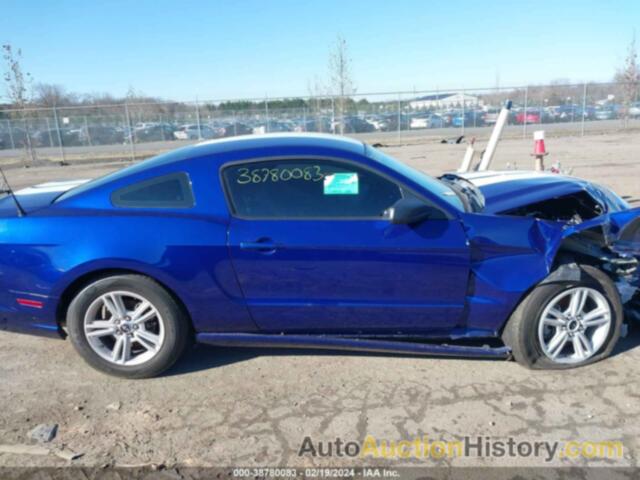 FORD MUSTANG, 1ZVBP8AM9E5295854