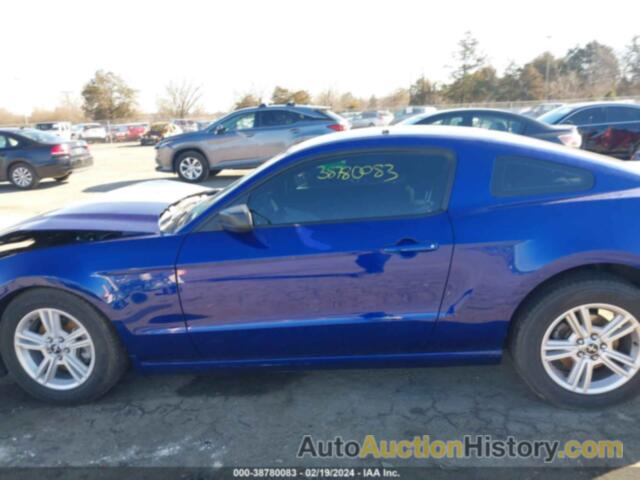 FORD MUSTANG, 1ZVBP8AM9E5295854