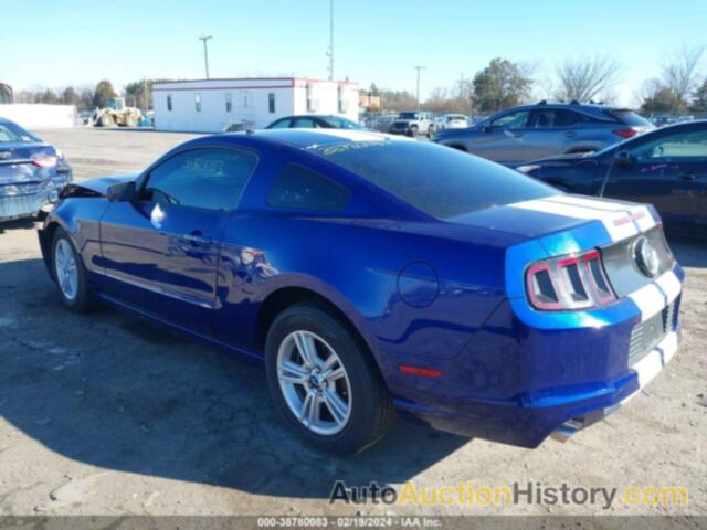 FORD MUSTANG, 1ZVBP8AM9E5295854