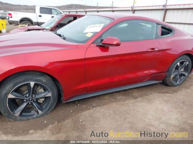 FORD MUSTANG ECOBOOST, 1FA6P8TH6J5165633