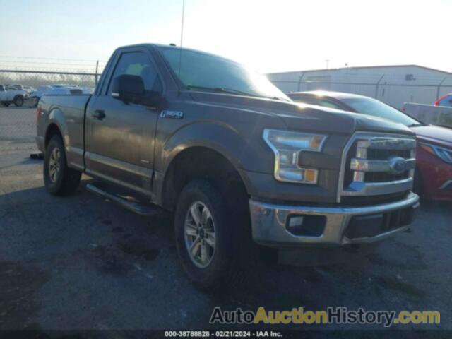 FORD F-150 XLT, 1FTMF1EP6FFB49000