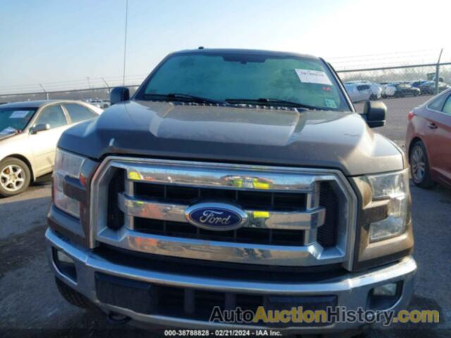 FORD F-150 XLT, 1FTMF1EP6FFB49000