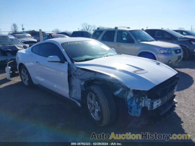 FORD MUSTANG ECOBOOST FASTBACK, 1FA6P8TH8L5178404