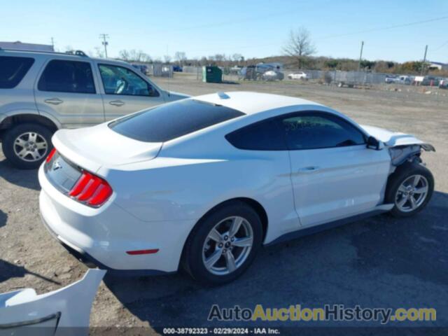 FORD MUSTANG ECOBOOST FASTBACK, 1FA6P8TH8L5178404