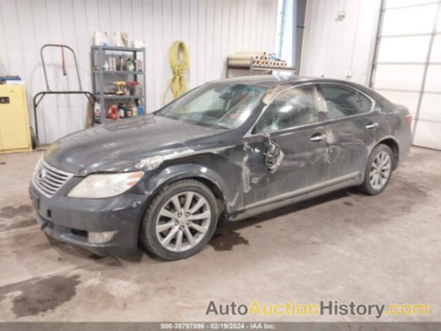 LEXUS LS 460, JTHCL5EF5B5011076