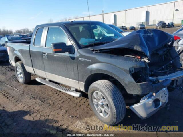 FORD F-150 STX/XL/XLT, 1FTEX1E89AFA59780