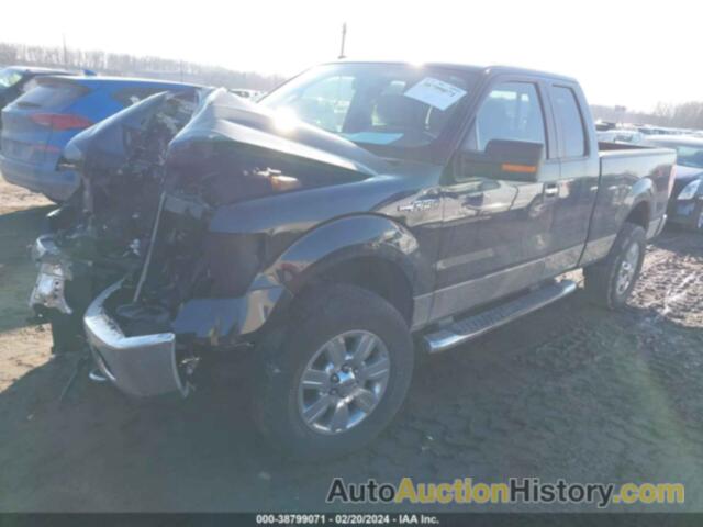 FORD F-150 STX/XL/XLT, 1FTEX1E89AFA59780