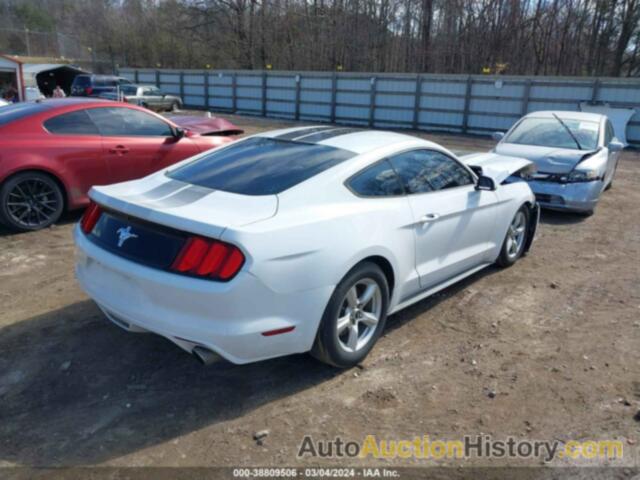 FORD MUSTANG V6, 1FA6P8AM3G5256061