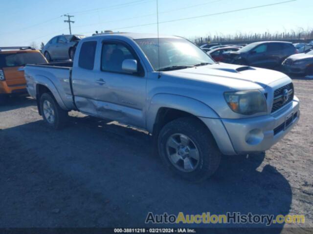 TOYOTA TACOMA BASE V6, 5TFUU4EN8BX019178