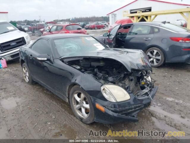 MERCEDES-BENZ SLK 320, WDBKK65F14F304491