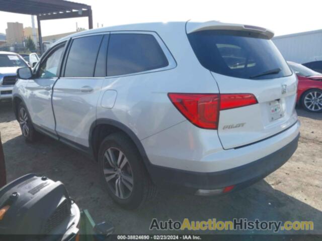 HONDA PILOT EX-L, 5FNYF5H70GB005548