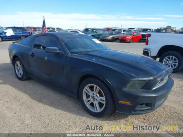 FORD MUSTANG V6, 1ZVBP8AMXD5205643