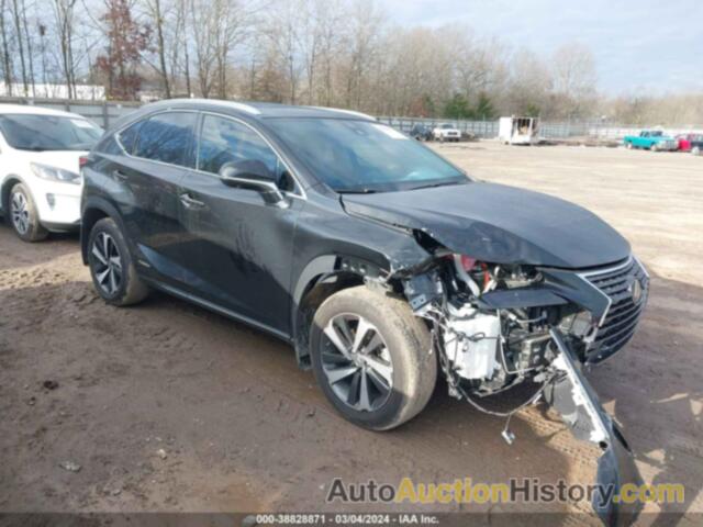 LEXUS NX 300H, JTJGJRDZ9M2169658