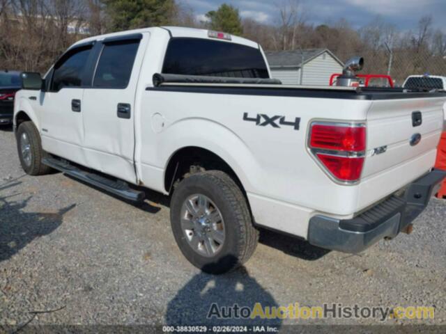 FORD F-150 XLT, 1FTFW1ET7CFC07875