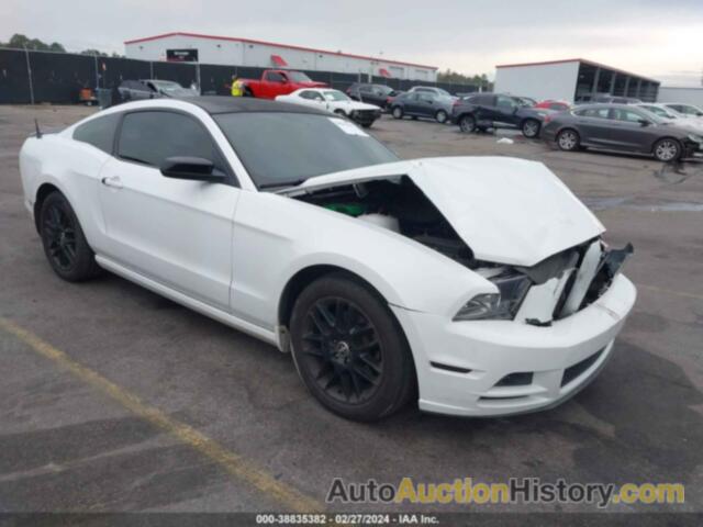 FORD MUSTANG V6, 1ZVBP8AM1E5273606