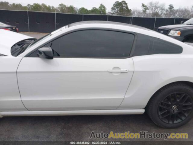 FORD MUSTANG V6, 1ZVBP8AM1E5273606