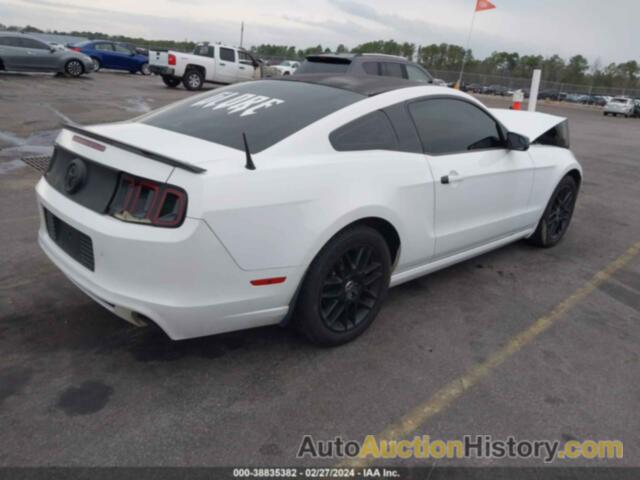 FORD MUSTANG V6, 1ZVBP8AM1E5273606