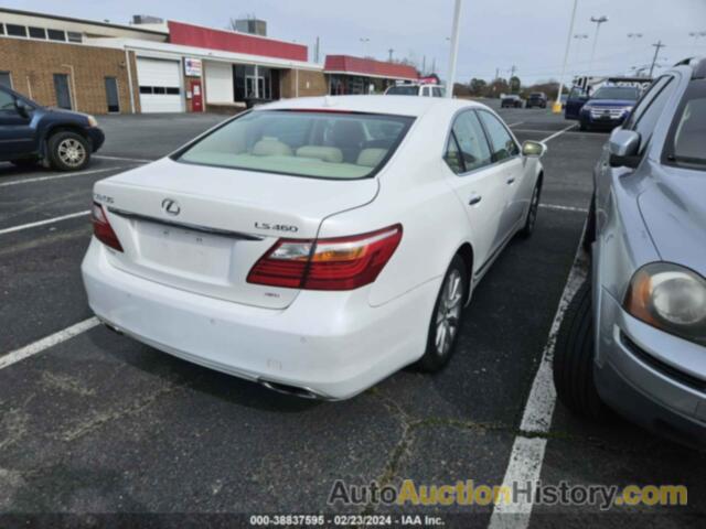 LEXUS LS 460, JTHCL5EF4C5013323