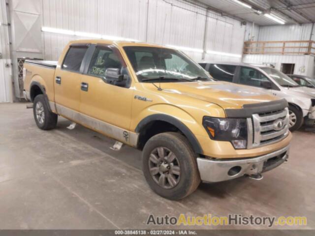 FORD F150 SUPERCREW, 1FTRW14869KB81215