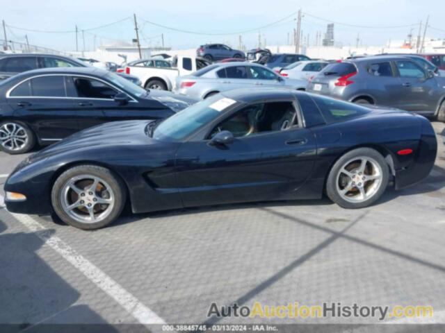 CHEVROLET CORVETTE, 1G1YY22G445110956