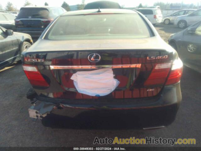 LEXUS LS 460 460, JTHCL46FX95004532