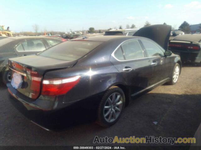 LEXUS LS 460 460, JTHCL46FX95004532