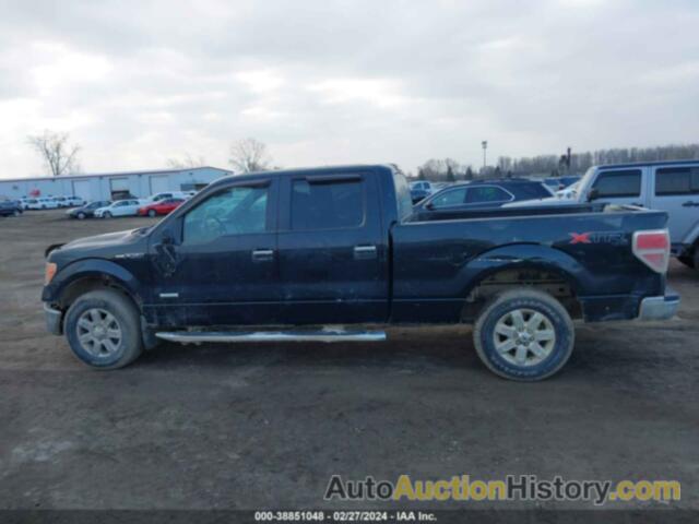 FORD F-150 XLT, 1FTFW1ET6EFB19502