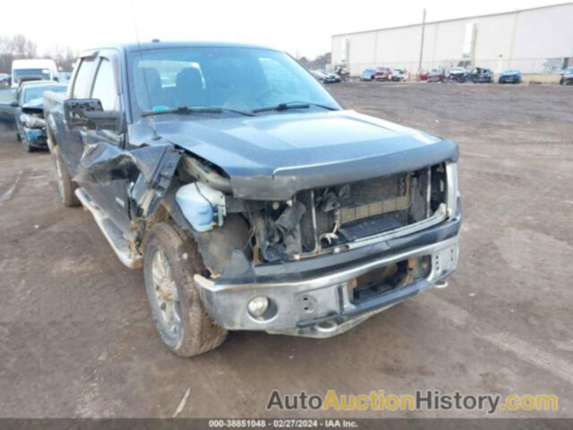 FORD F-150 XLT, 1FTFW1ET6EFB19502