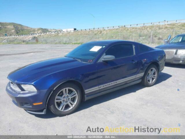 FORD MUSTANG V6/V6 PREMIUM, 1ZVBP8AN5A5101596