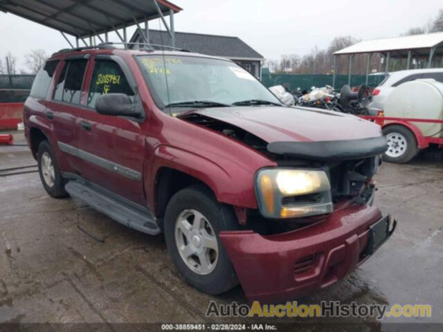 CHEVROLET TRAILBLAZER LS, 1GNDT13S042311750