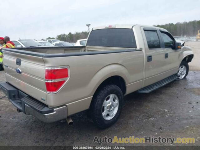 FORD F-150 FX2 SPORT/HARLEY-DAVIDSON/KING RANCH/LARIAT/PLATINUM/XL/XLT, 1FTFW1CVXAFA20552