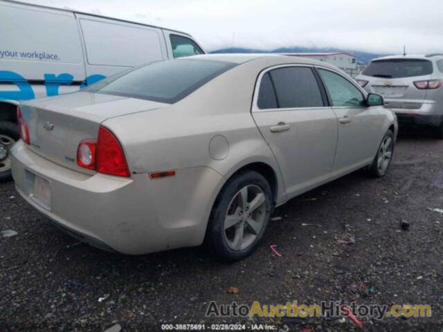 CHEVROLET MALIBU 1LT, 1G1ZC5EU8BF200513