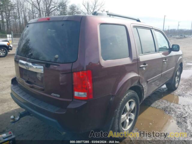 HONDA PILOT EX-L, 5FNYF4H68BB066785