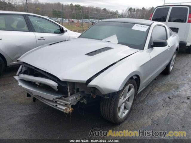 FORD MUSTANG V6, 1ZVBP8AM9C5261765