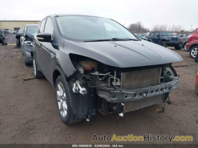 FORD TAURUS SEL, 1FAHP2H89KG116379