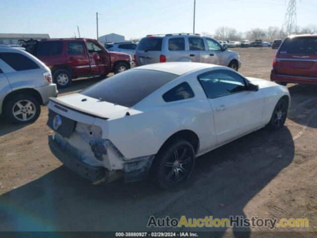 FORD MUSTANG V6, 1ZVBP8AN6A5156218