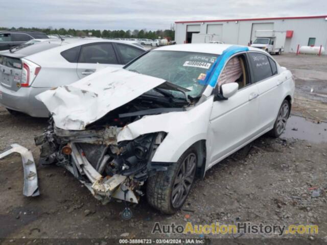 HONDA ACCORD LX, 1HGCP2F38BA005628