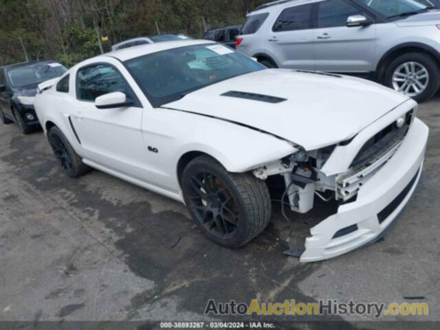 FORD MUSTANG GT PREMIUM, 1ZVBP8CF4D5206849